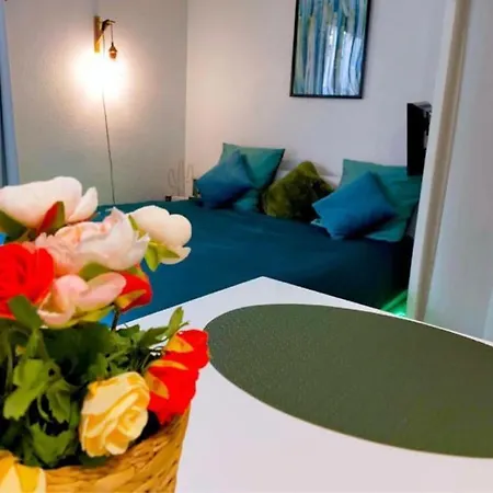Apartment Studio Proche Centre Wifi Parking *