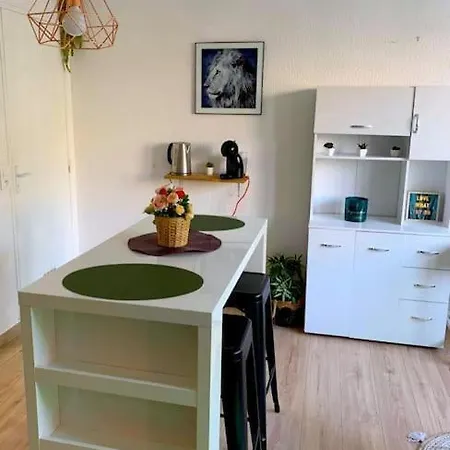 Apartment Studio Proche Centre Wifi Parking *